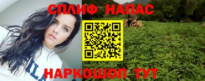 кокс Моздок