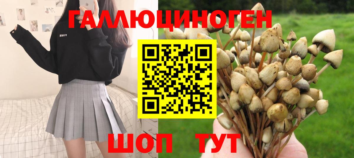 Бор  Псилоцибиновые грибы ЛСД  наркошоп  Вход с VPN  Галлюциногенные грибы мицелий 